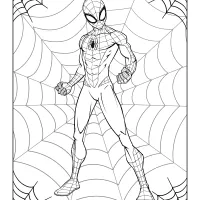 printables spider man coloring pages