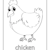 free printable cute chicken coloring pages