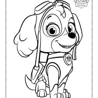 Printable Paw Patrol Skye Coloring Sheet 53 printable paw patrol skye coloring sheet