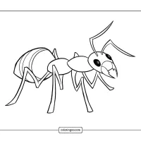 free ant coloring sheet
