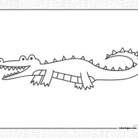 Super Easy Crocodile Drawing 1 Super Easy Crocodile Drawing