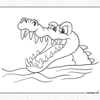 Alligator in Water Coloring Page 12 Alligator in Water Coloring Page