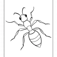 Ant from Top Coloring Page