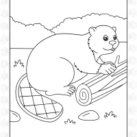 Beaver Working Colouring Sheet 3 Beaver Working Colouring Sheet