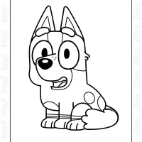 Bluey Socks Coloring Sheet