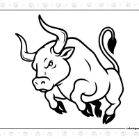 Bull Coloring Sheet