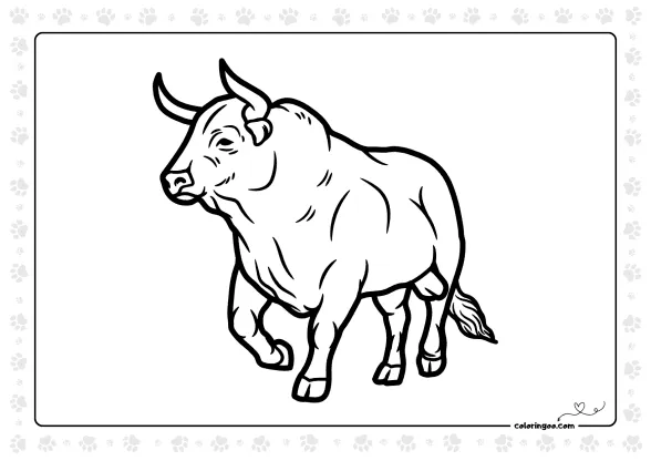 Bull Pdf Coloring Sheet 1 Bull Pdf Coloring Sheet