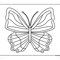 Butterfly Colouring Sheet
