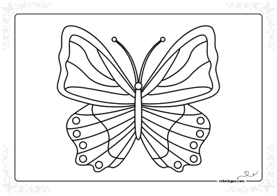 Butterfly Colouring Sheet