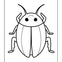 Cockroach Coloring Sheet 2 Cockroach Coloring Sheet