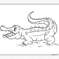 Crocodile Coloring Pdf Book 8 Crocodile Coloring Pdf Book