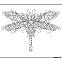 Dragonfly Coloring Sheet for Adults