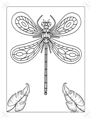 Dragonfly Colouring Sheet