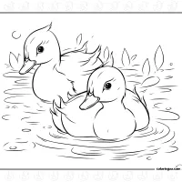Ducks Swimming Coloring Sheet