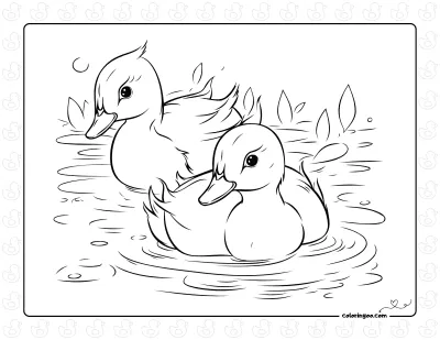 Ducks Swimming Coloring Sheet
