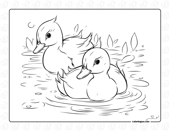 Ducks Swimming Coloring Sheet 1 Ducks Swimming Coloring Sheet