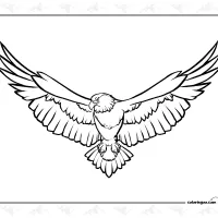 Eagle Coloring Page
