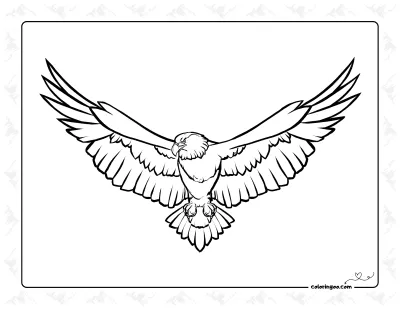 Eagle Coloring Page