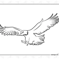 Eagle Coloring Sheet