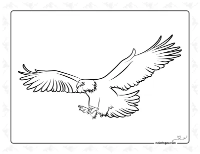 Eagle Coloring Sheet