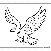 Eagle Colouring Page