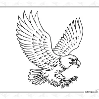 Eagle Colouring Sheet