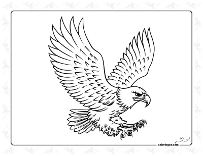 Eagle Colouring Sheet