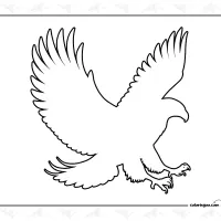 Eagle Outline Coloring Page