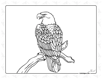 Eagle on Branch Coloring Page