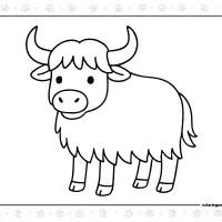Easy Bison Coloring Sheet