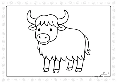 Easy Bison Coloring Sheet