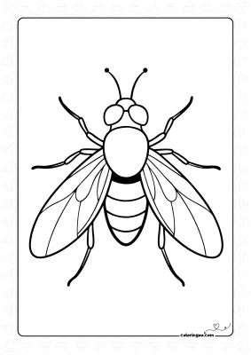 Housefly Coloring Sheet