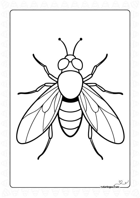 Housefly Coloring Sheet 1 Housefly Coloring Sheet
