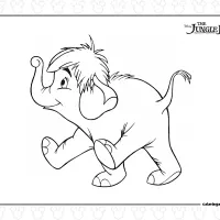 Junior the Baby Elephant