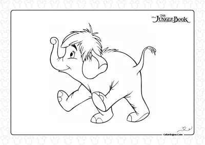 Junior the Baby Elephant