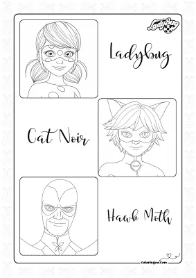 Ladybug Cat Noir and Hawk Moth
