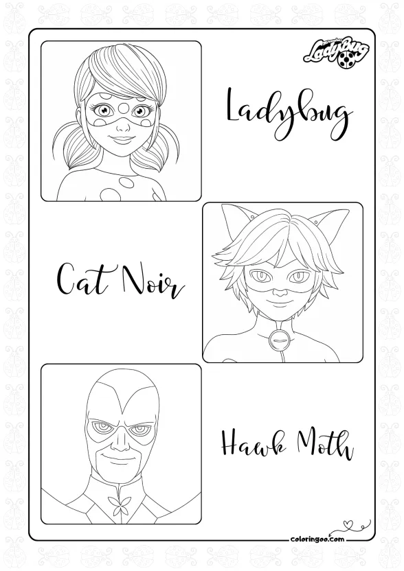 Ladybug Cat Noir and Hawk Moth
