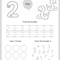 Number 2 Tracing Worksheet