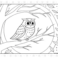 Owl Pdf Coloring Sheet