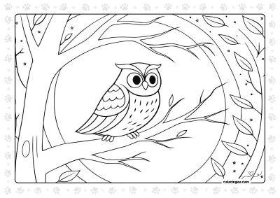 Owl Pdf Coloring Sheet