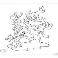 Spike Tom and Jerry are Playing Volleyball
