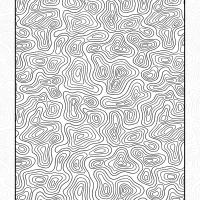 Topographic Map Lines Pattern 1 Topographic Map Lines Pattern