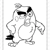 angry birds red coloring book