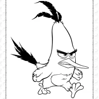 chuck angry bird coloring page