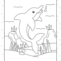 Cute Dolphin in the Sea 4 cute dolphin in the sea