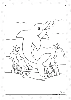 Cute Dolphin in the Sea