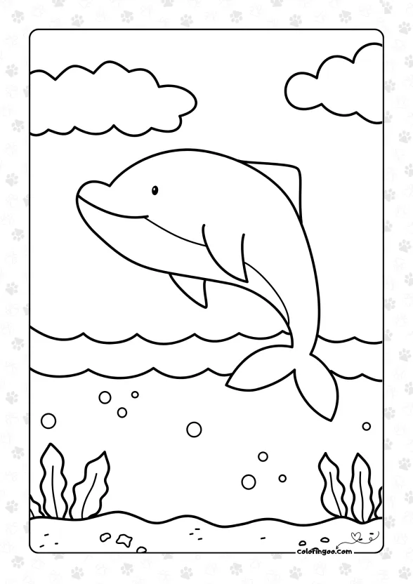 dolphine coloring activities