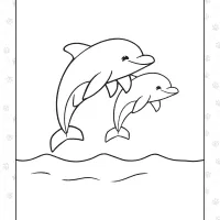 Dolphines in the Sea 2 Dolphines in the Sea