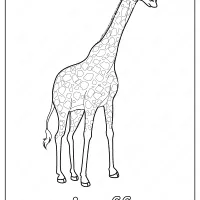 Giraffe Coloring Page 4 giraffe coloring page