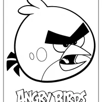 printable angry birds red pdf coloring book